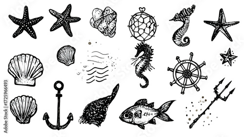 Vintage sea life and maritime symbols hand drawn set.