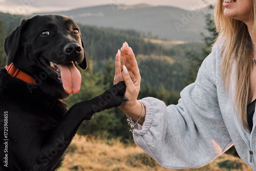 A happy black Labrador giving a 'high five' to its owner outdoors. The beautiful landscape in the background symbolizes friendship and connection with nature. Perfect for pet-related themes.