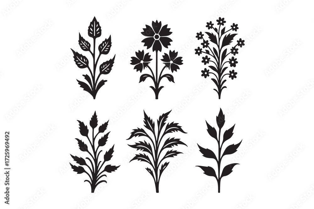 Naklejka premium Collection of six black and white floral botanical illustration elements