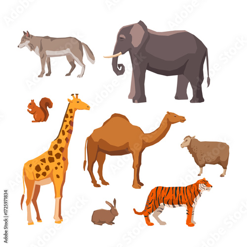 Wildlife Wonders An Illustrated Collection of Exotic Animals from Around the World