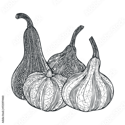 Variety of gourds in artistic design for seasonal decor. Vector black icon