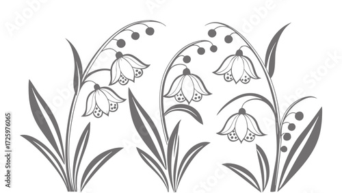 Delicate hand drawn sketch of bell shaped flowers with leaves and buds in a simple artistic botanical illustration