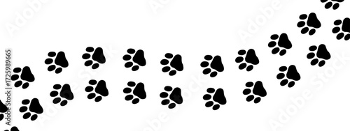 Black paw print with cat and dog footprints for a pet vector pattern or animal trail design. This linear illustration features puppy and bear traces along a walking path, perfect for creating backgrou