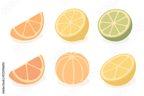 Citrus Fruits Collection. Isometric vector illustration set of citrus fruits: orange wedge, lemon half, lime slice, grapefruit