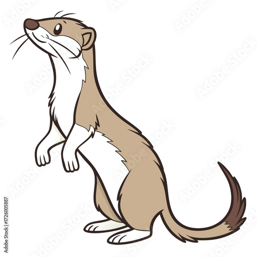 Cartoon Weasel Standing Upright on White Background ermine stoat