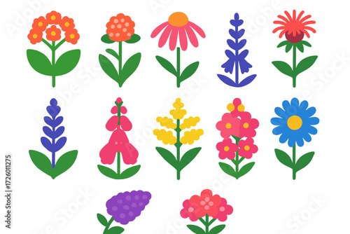 Colorful Pollinator Plant Icons. Flat vector icons of pollinator plants: milkweed, coneflower, bee balm, salvia, foxglove,