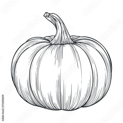Detailed drawing of a pumpkin for autumn decoration and design. Vector black icon