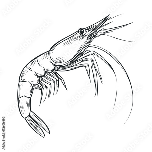 Detailed illustration of a shrimp in dynamic pose for culinary design. Vector black icon