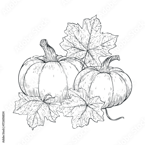 Autumn harvest featuring pumpkins and leaves for seasonal decor. Vector black icon