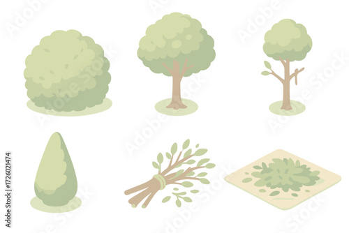 Tree Maintenance Illustration. Isometric vector illustration set Tree and Shrub Maintenance: bush before and after pruning, tree