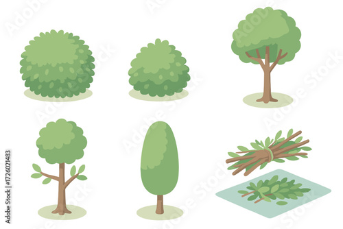Tree Maintenance Illustration. Isometric vector illustration set Tree and Shrub Maintenance: bush before and after pruning, tree
