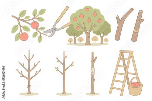 Orchard Tree Pruning Icons. Isometric vector illustration set Orchard Tree Care: apple tree branch pruning, lopper in fruit tree