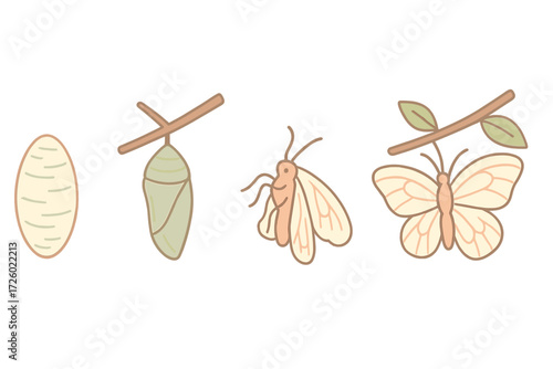 Butterfly Metamorphosis Journey. Isometric vector illustration set cocoon metamorphosis butterfly emerge: silken cocoon detail,