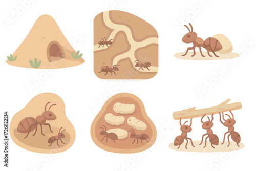 Ant Colony Teamwork. Isometric vector illustration set ant colony tunnel teamwork: ant hill mound entrance, tunnel network inside,
