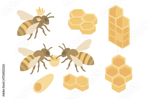 Queen Bee Isometric Scene. Isometric vector illustration set hive honey bee queen: queen bee with crown shape marking, honeycomb
