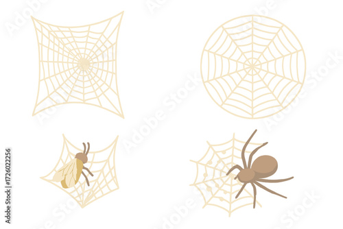 Spider Web Illumination. Isometric vector illustration set spider web silk trap: detailed spider silk net, circular web design,
