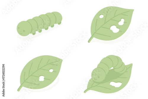 Caterpillar Leaf Munch. Isometric vector illustration set caterpillar crawl leaf munch: crawling green caterpillar, visible leaf