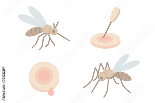 Mosquito Bite Illustration. Isometric vector illustration set mosquito proboscis bite itch: hovering insect form, long needle