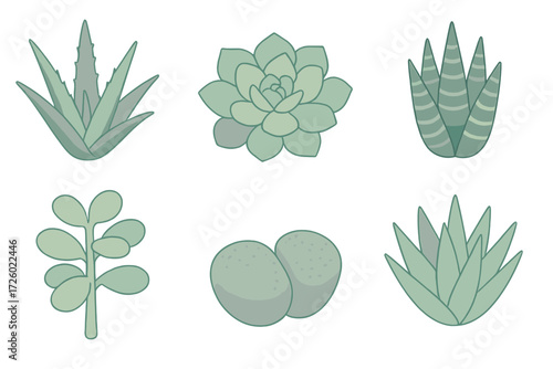 Succulent Houseplant Icons. Isometric vector illustration set Succulent houseplants: aloe vera rosette, echeveria bloom shape,