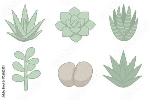 Succulent Houseplant Icons. Isometric vector illustration set Succulent houseplants: aloe vera rosette, echeveria bloom shape,