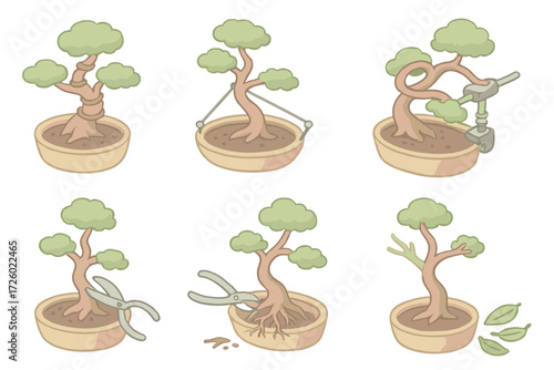 Bonsai Techniques Illustrated. Isometric vector illustration set Bonsai training techniques: branch wiring coils, guy wire tension