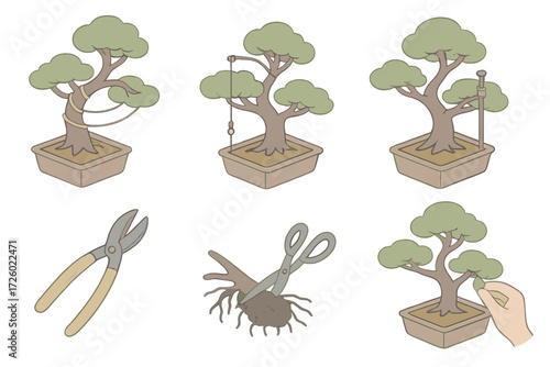 Bonsai Techniques Illustrated. Isometric vector illustration set Bonsai training techniques: branch wiring coils, guy wire tension
