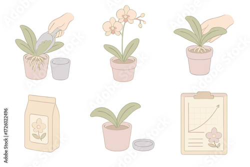 Orchid Seasonal Care Icons. Isometric vector illustration set Orchid seasonal care: spring orchid repotting, summer orchid bloom