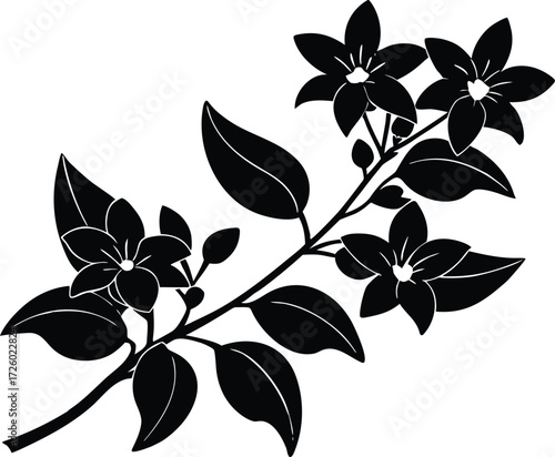 Jasmine Branch Silhouette | Fragrant Flower Vector Illustration
