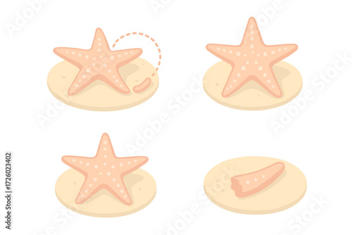 Starfish Regeneration Icon Set. Isometric vector illustration set Regeneration concept: starfish with regrowing arm, dotted