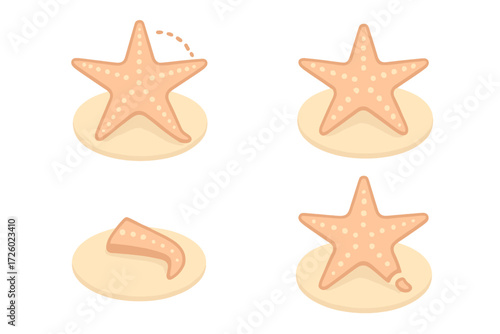 Starfish Regeneration Icon Set. Isometric vector illustration set Regeneration concept: starfish with regrowing arm, dotted