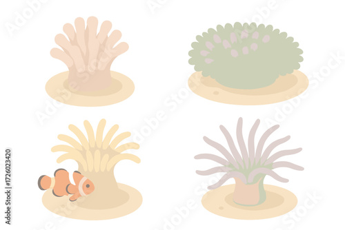 Anemone and Clownfish Icons. Isometric vector illustration set Anemone species: bubble-tip anemone, carpet anemone, magnificent