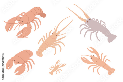Lobster Variations Icons. Isometric vector illustration set Lobster variations: American lobster, European lobster, spiny lobster,