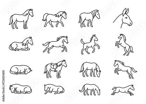 Linear horse designs: elegant line art depicting various horse poses and movements