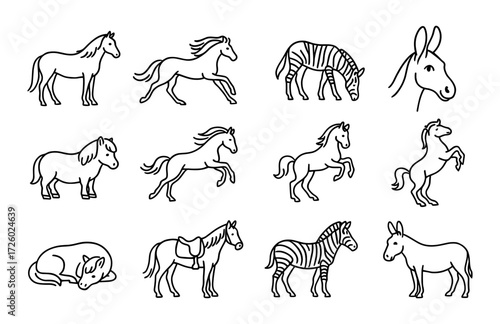 Outline drawings of horses, zebras, and donkeys