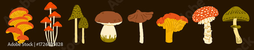 Set of wild forest mushrooms with different caps and stems. Natural fungi set perfect for autumn, food, botanical, forest designs. Fungi collection for magic and fairy tale themes on brown background.