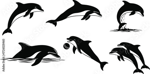 Dolphin silhouette illustration set, swimming pose, leaping motion, diving splash, ball play, social behavior, vector design