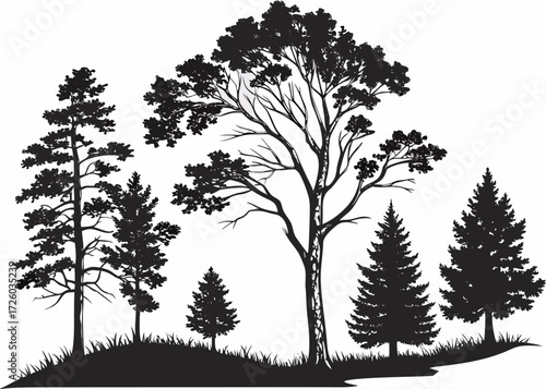 Silhouette of various trees including pine and deciduous trees in a natural landscape setting outdoors created with generated ai