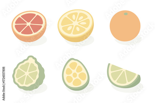 Exotic Citrus Collection. Isometric vector illustration set of exotic citrus hybrids: blood orange half, yuzu slice, calamansi cut