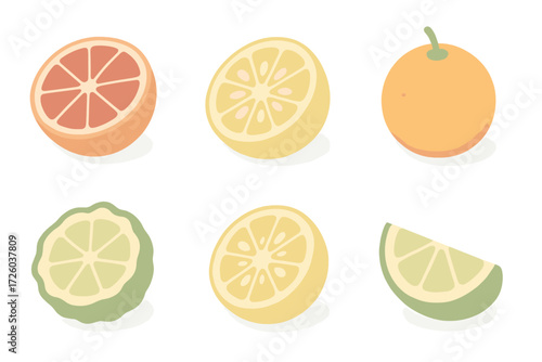 Exotic Citrus Collection. Isometric vector illustration set of exotic citrus hybrids: blood orange half, yuzu slice, calamansi cut
