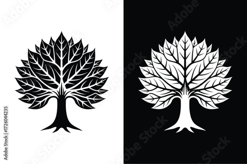 Sycamore tree flat icon vector on White Background Vector Art Illustration on white background.