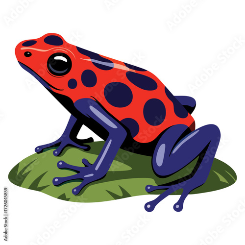 Bright poison dart frog cartoon style vector illustration design spotted amphibian exotic rainforest wildlife orange blue animal icon