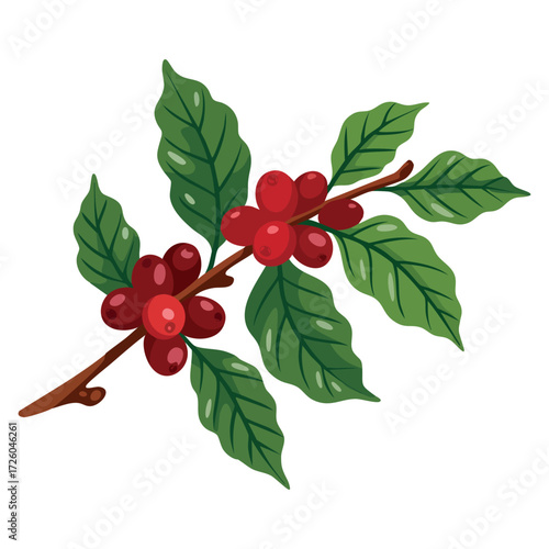 Coffee branch detailed illustration with ripe red berries and vibrant green leaves botanical design agriculture farming cultivation
