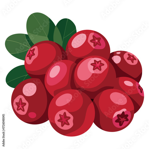 Vector illustration design of cranberries fruit icon red berry isolated natural ingredient healthy food element for nutrition visuals