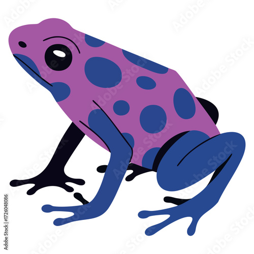 Vector illustration design of poison dart frog cartoon exotic amphibian spotted orange blue body rainforest wildlife animal icon image