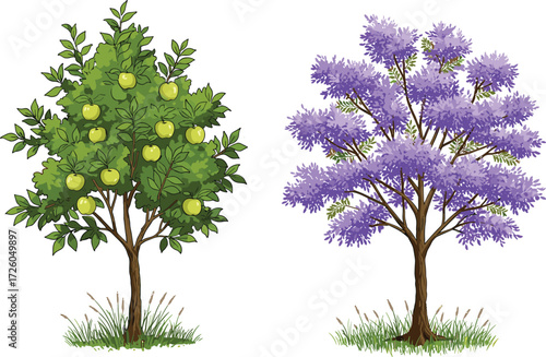 Green apple tree with ripe fruits and purple blooming tree in natural garden landscape illustration, seasonal botanical foliage background design