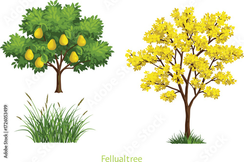 Pear fruit tree with ripe yellow pears and blooming yellow flowering tree in garden landscape illustration, natural seasonal foliage background design