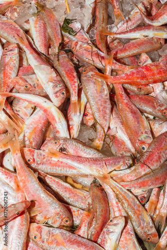Fresh from the ocean red fish catch on ice displayed for sale at a local fish market stand on Crete.