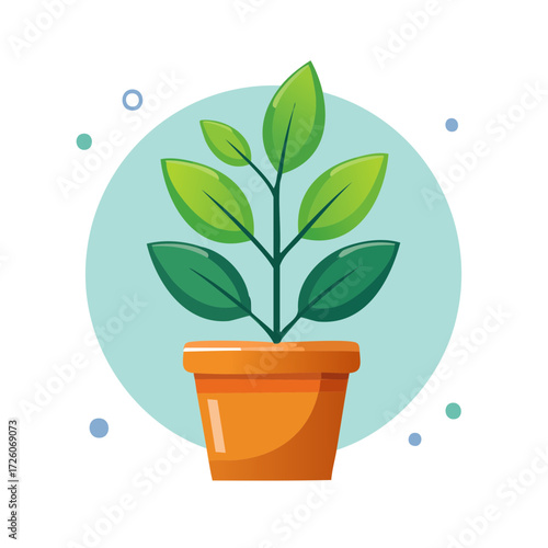 Houseplant in a Pot Isolate...
