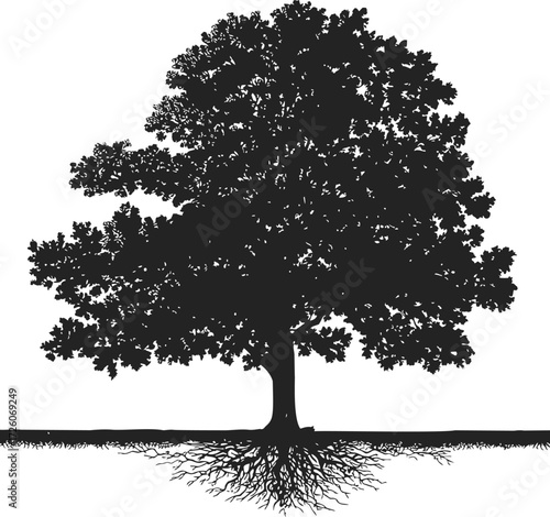 Tree silhouette sketch, hand drawn style with visible roots and detailed foliage — stock vector