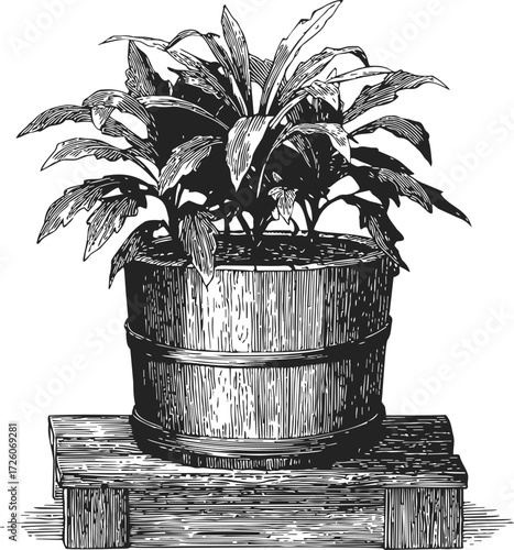 Potted plant sketch, hand drawn style, leafy houseplant in wooden barrel planter on rustic stand — stock vector